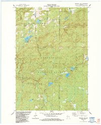 Marengo Lake 1984 topographic map thumbnail