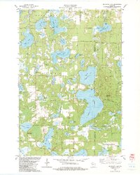 Mc Kenzie Lake topographic map thumbnail