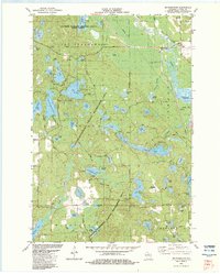 Mc Naughton topographic map thumbnail