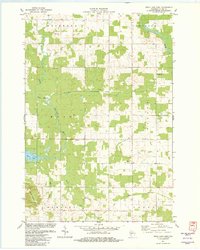Mead Lake East 1982 topographic map thumbnail