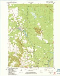 Merrillan 1984 topographic map thumbnail