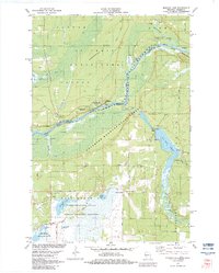 Monson Lake 1982 topographic map thumbnail