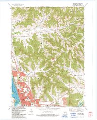 Onalaska 1993 topographic map thumbnail