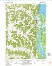 Reno 1980 topographic map thumbnail