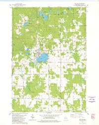 Rib Lake 1979 topographic map thumbnail