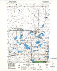 Iron Lake SW topographic map thumbnail