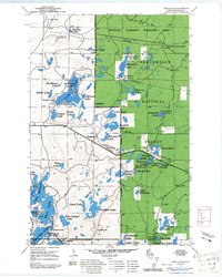 Iron Lake SE topographic map thumbnail