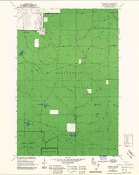 Moquah NW 1964 topographic map thumbnail