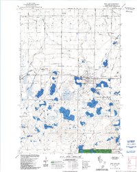 Iron Lake 1984 topographic map thumbnail