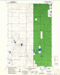 Drummond NW 1971 topographic map thumbnail