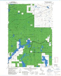 Diamond Lake 1971 topographic map thumbnail