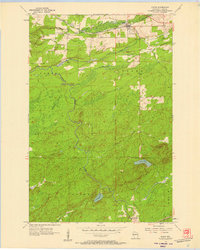 Saxon 1956 topographic map thumbnail