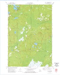 Shay Lake 1973 topographic map thumbnail