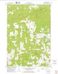 Strickland 1978 topographic map thumbnail