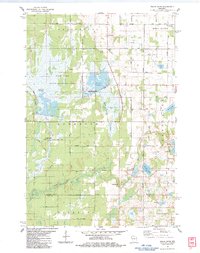 Trade River 1983 topographic map thumbnail