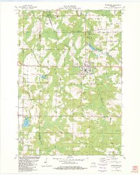 Wittenberg 1982 topographic map thumbnail