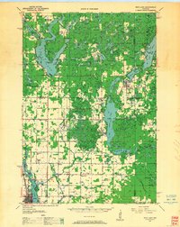 Rice Lake 1949 topographic map thumbnail