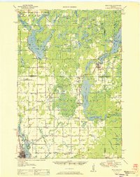 Rice Lake 1951 topographic map thumbnail