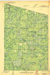 Trout Lake 1946 topographic map thumbnail