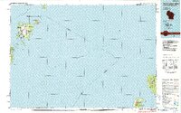 Washington Island 1984 topographic map thumbnail