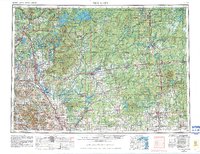 Rice Lake 1953 topographic map thumbnail