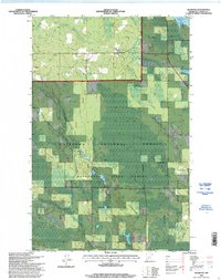 Alvwood 1996 topographic map thumbnail
