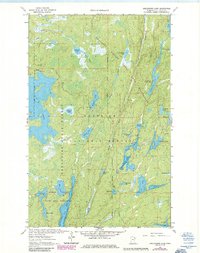 Angleworm Lake 1963 topographic map thumbnail
