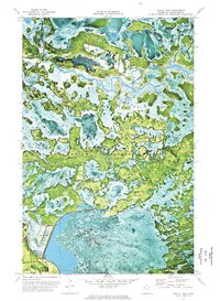 Bailey Lake 1972 topographic map thumbnail