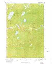 Barrs Lake 1954 topographic map thumbnail