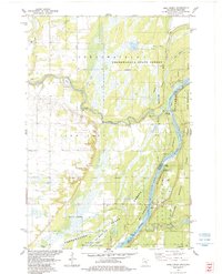 Bass Creek 1983 topographic map thumbnail