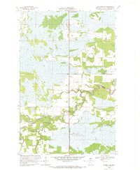 Baudette SE 1968 topographic map thumbnail