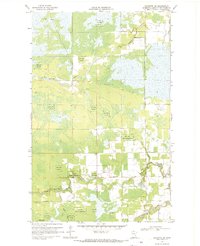 Baudette SW 1968 topographic map thumbnail