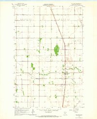 Beltrami 1964 topographic map thumbnail