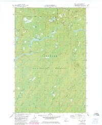Bird Lake 1981 topographic map thumbnail