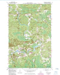 Biwabik NE 1950 topographic map thumbnail