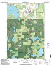 Blackduck 1996 topographic map thumbnail