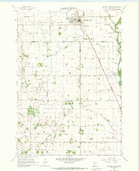 Blooming Prairie 1967 topographic map thumbnail