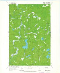 Bootleg Lake 1963 topographic map thumbnail