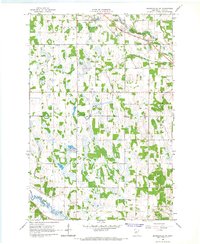 Browerville SW 1966 topographic map thumbnail