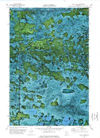 Cahill Lake 1973 topographic map thumbnail