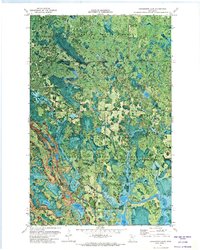 Coddington Lake 1971 topographic map thumbnail
