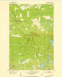 Dark Lake 1955 topographic map thumbnail