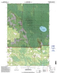 Deer River NE 1996 topographic map thumbnail