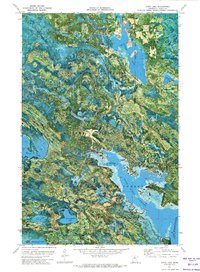 Dixon Lake 1971 topographic map thumbnail