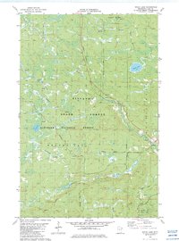Doyle Lake 1982 topographic map thumbnail