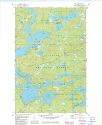 Farm Lake 1981 topographic map thumbnail