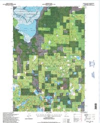 Goose Lake 1996 topographic map thumbnail