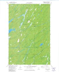 Harris Lake 1981 topographic map thumbnail