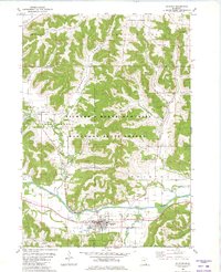 Houston 1980 topographic map thumbnail