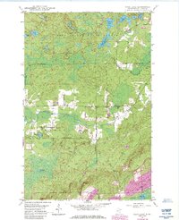 Isaac Lake 1949 topographic map thumbnail